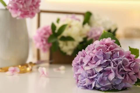 Closeup view of hydrangea flowers on white table, space for text. Interior de Foto stock