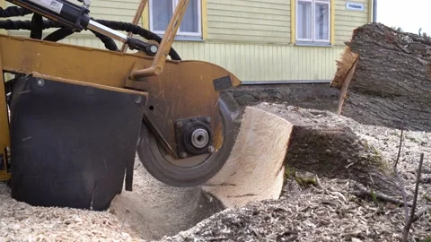 Closeup view from left side of a tree stump grinding with a yellow stump grinder Stock Footage 152406760