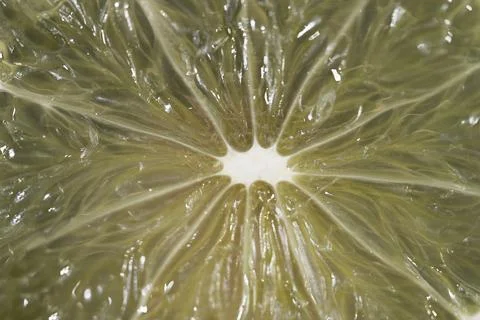 Closeup view of lime pulp highlighting vibrant green shades and textures Stock Photos