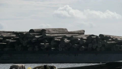 Closeup view of the logs that transported by barge Video stock 132609768
