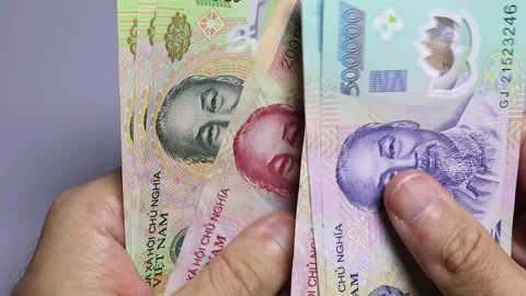 Closeup view of man's hands and wallet with vietnamese dongs banknotes. Stock Footage 302273886