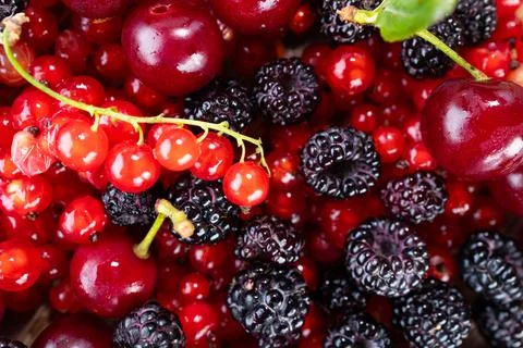 Closeup view of mixed red currants, dark blackberries, and glossy cherries .. Stock Photos