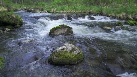 Closeup view of mountain river at the deep Siberian forest, Khakassia, Russia Stock Footage 85307000