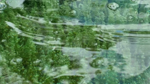 Closeup view of Natural hotspring spa pool in Thaildand. 動画素材 59774855