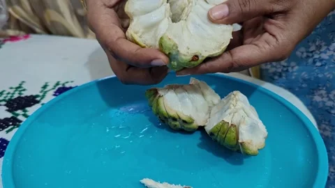Closeup view of peeling custard apple revealing soft pulp and seeds inside Stock Footage 335880454
