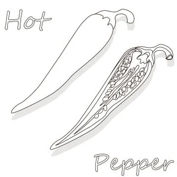 Closeup view pepper on white background, raw food ingredient concept. Hand ma Stock Illustration