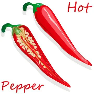 Closeup view pepper on white background, raw food ingredient concept. Hand ma Stock Illustration