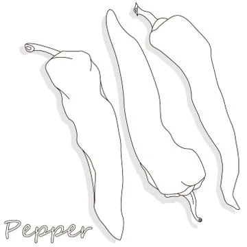 Closeup view pepper on white background, raw food ingredient concept. Hand ma Stock Illustration