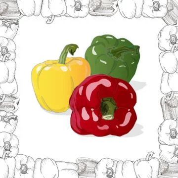 Closeup view pepper on white background, raw food ingredient concept. Hand ma Stock Illustration