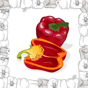 Closeup view pepper on white background, raw food ingredient concept. Hand ma Stock Illustration