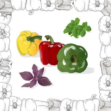 Closeup view pepper on white background, raw food ingredient concept. Hand ma Stock Illustration