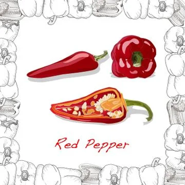 Closeup view pepper on white background, raw food ingredient concept. Hand ma Stock Illustration