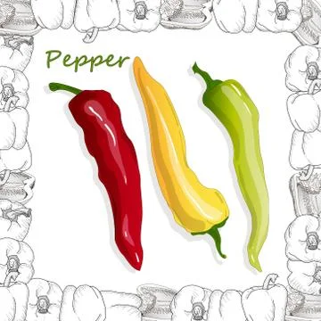 Closeup view pepper on white background, raw food ingredient concept. Hand ma Stock Illustration