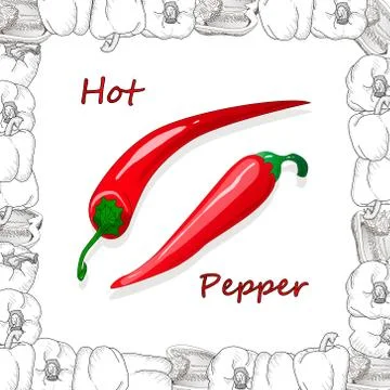 Closeup view pepper on white background, raw food ingredient concept. Hand ma Stock Illustration