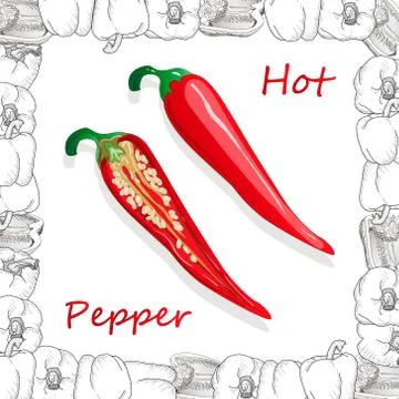 Closeup view pepper on white background, raw food ingredient concept. Hand ma Stock Illustration