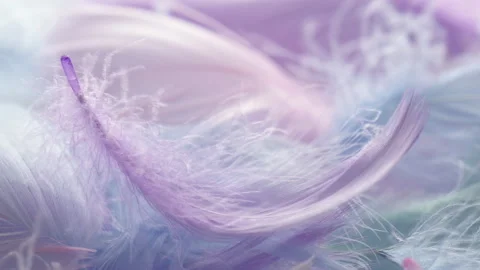 Closeup view of pink feather swaying in wind Stock Footage 300763380