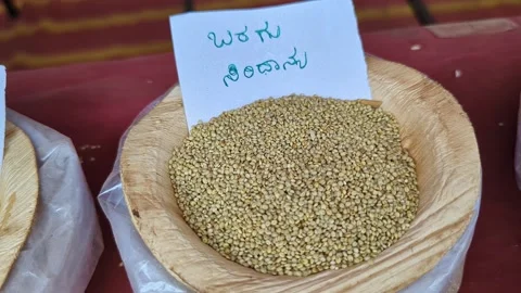 Closeup view of proso grain displayed at krishi mela showcasing fine grains Stock Footage 334554036