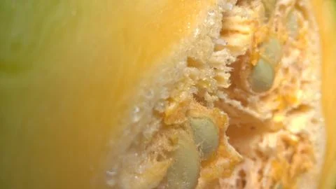Closeup view of raw vegetable half cut pumpkin a cultivar of winter squash Stock Photos