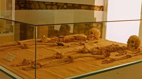 Closeup view of real human skull and bones in museum as were found during Stock Footage 160708336