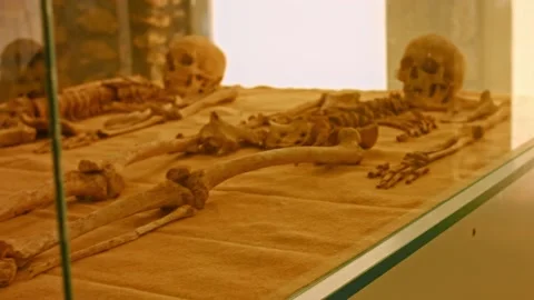 Closeup view of real human skull and bones in museum as were found during Stock Footage 160708506