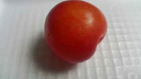 Closeup view of red plum on a white grey background Stock Photos