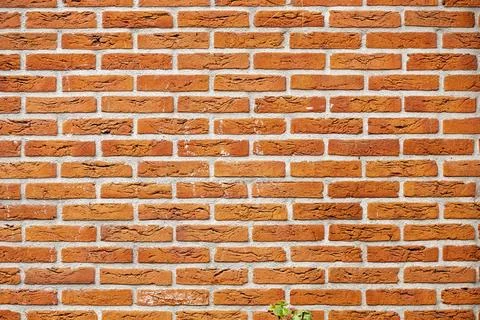 Closeup view of the red wall. Abstract pattern of a brick wall Stock Photos