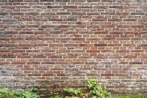 Closeup view of the red wall. Abstract pattern of a brick wall Stock Photos