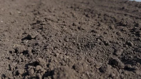 A CloseUp View of Rich Soil that is Ideal for Agriculture and Gardening Stock Footage 313284769
