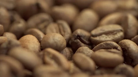 Closeup view of roasted coffee beans lying in container in modern factory spbas. Stock Footage 162733076
