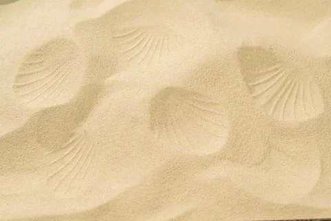 Closeup view of sand with seashell texture. Beach scene. Summer concept. To.. Foto stock