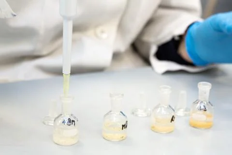 Closeup view of a scientist placing generic samples into glass beakers inside 스톡 사진