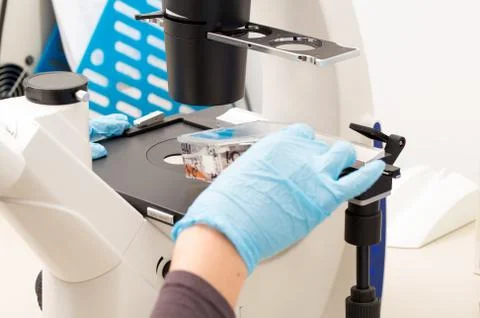 Closeup view of a scientist placing an object under a microscope for closer i 스톡 사진