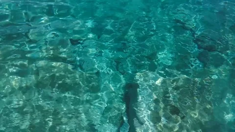 Closeup view on sea water surface. Stock Footage 90235453