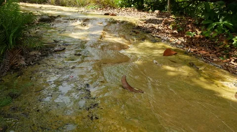 Closeup view of small tropical river in the Thai rainforest Stock Footage 61534167