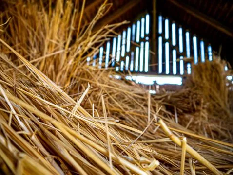 Closeup view of a straw pile Stock Photos