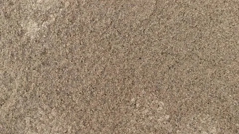 Closeup view of textured concrete surface with natural earthy tones and sub.. Stock-Footage 339295952