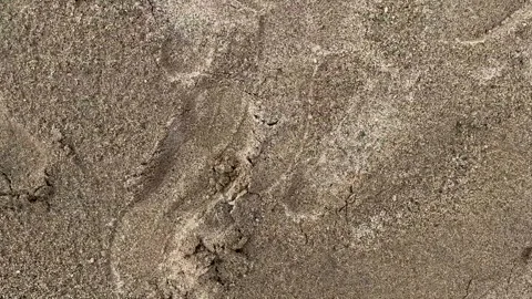 Closeup view of textured sandy surface with natural patterns and subtle col.. Video stock 339369030