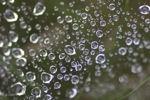 Closeup View of Tiny Droplets Stock Photos