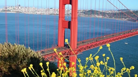 Closeup view of traffic at Golden Gate Bridge in California Stock Footage 294553046
