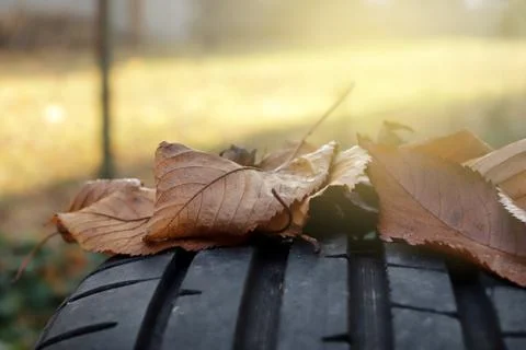 Closeup view on tread of high performance car tire with autumn leaves Stock Photos