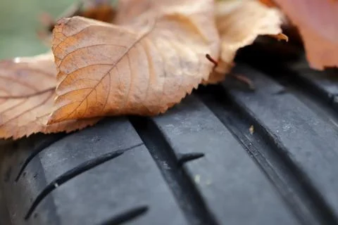 Closeup view on tread of performance car tire with autumn leaves on profile Stock Photos