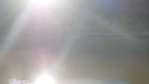 Closeup view of tree and calm lake on background Stock Footage 104079559