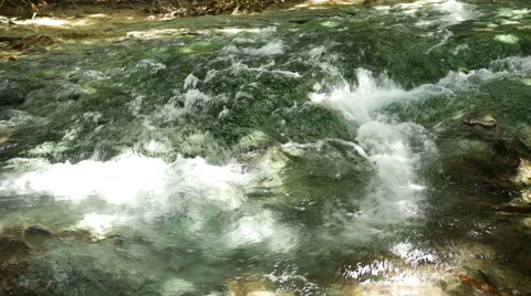 Closeup view of tropical river stream Stock Footage 59775284