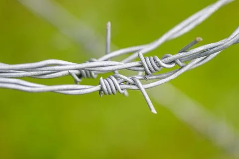 A CloseUp View of Twisted Barbed Wire Set Against a Lush Green Background Landsc Stock Photos