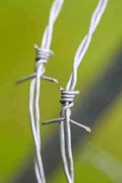 A CloseUp View of Twisted Barbed Wire Set Against a Lush Green Background in Nat Stock Photos
