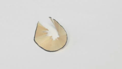 Closeup view of an Unidentified Natural Object set against a plain White Stockbeeldmateriaal 283639699