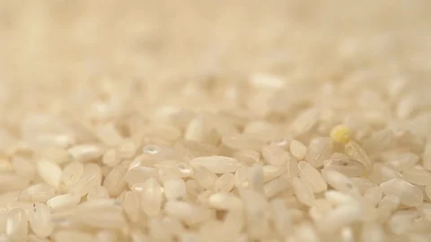 Closeup view video of white uncooked rice falling down on table Stock Footage 125621712