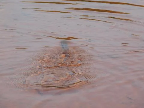 Closeup view of water waves inside the pool Foto stock