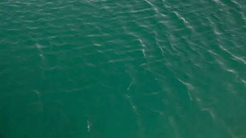 Closeup view watery sparkling surface in summer sunny day Video stock 75969952