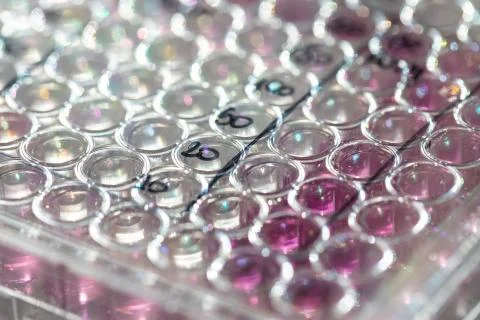 Closeup view on the wells of a microplate inside a laboratory Fotos de archivo